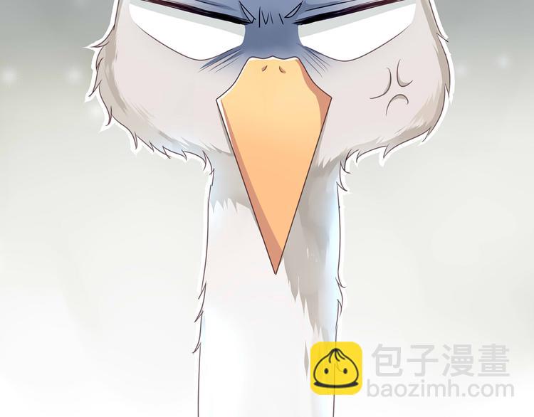 《鸵鸟先生》序章 我竟然变成了鸵鸟？！ 第37页