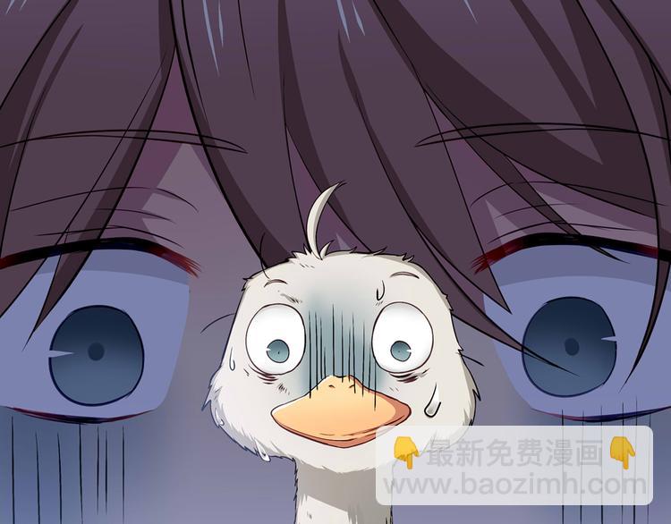 《鸵鸟先生》序章 我竟然变成了鸵鸟？！ 第5页