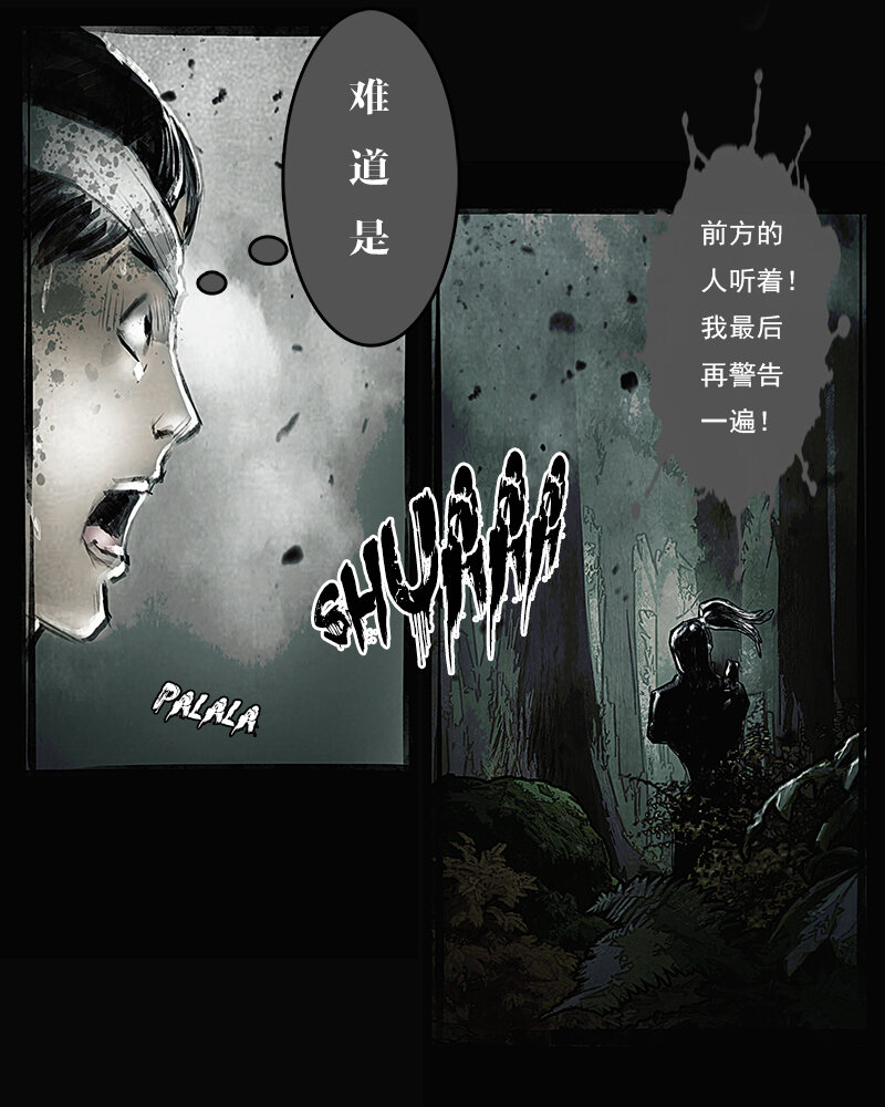《魂岭》第二十章 突袭1 第14页