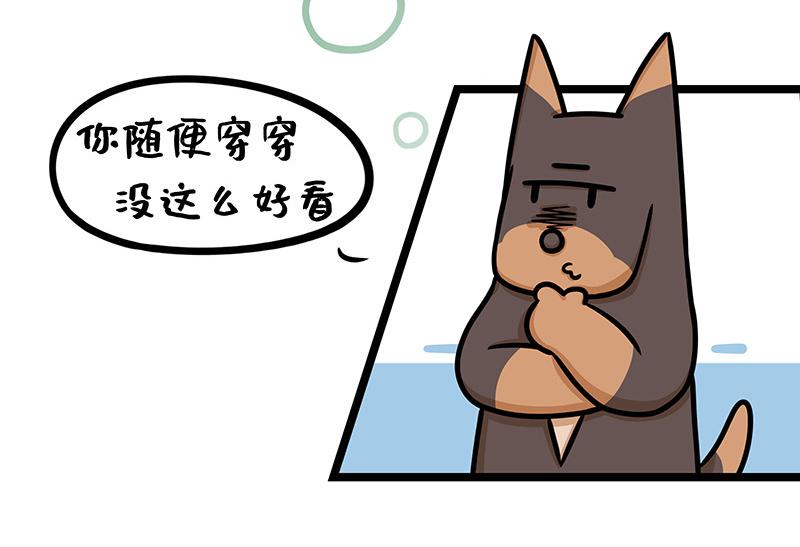 《野生物口工作室》第13话、生活总是起起落落落落 第10页