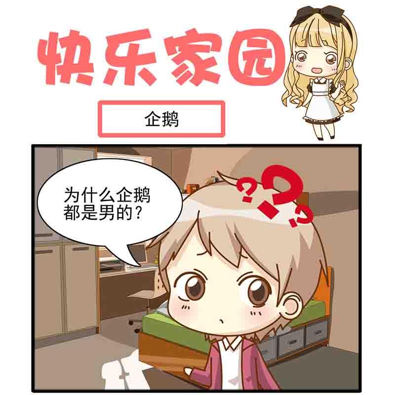 《快乐家园》快乐家园 第11集 第11页