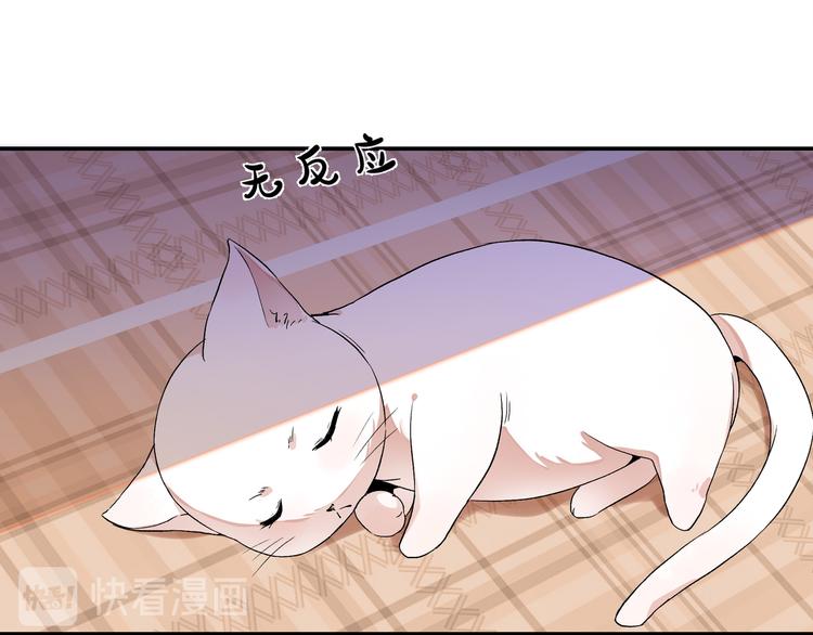 《上仙，缺猫否？》终于找到你了 第15页