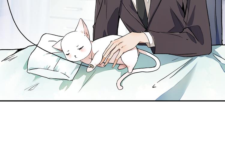 《上仙，缺猫否？》终于找到你了 第50页