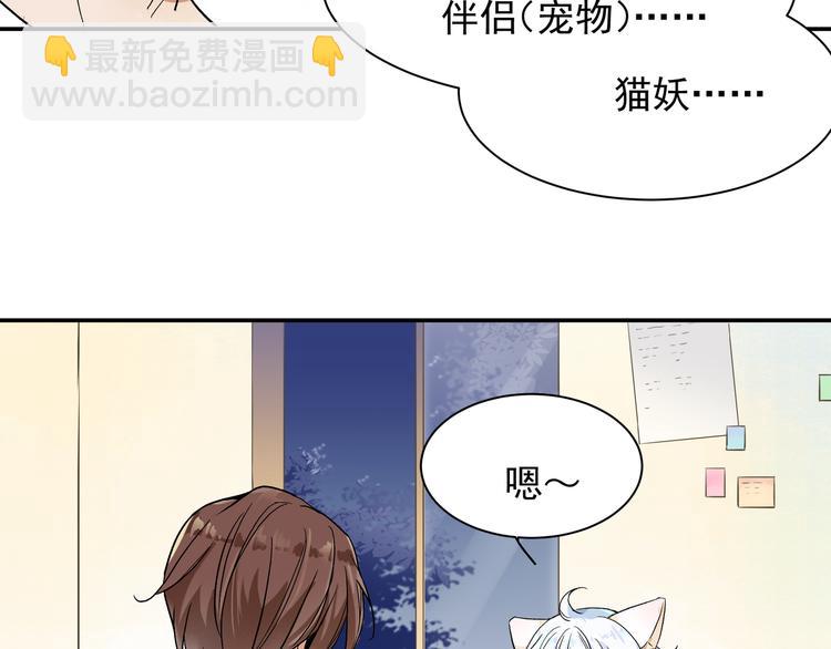 《上仙，缺猫否？》被猫碰瓷了 第16页