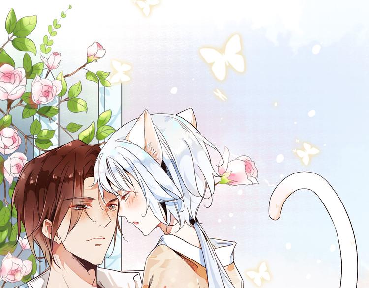 《上仙，缺猫否？》被猫碰瓷了 第1页
