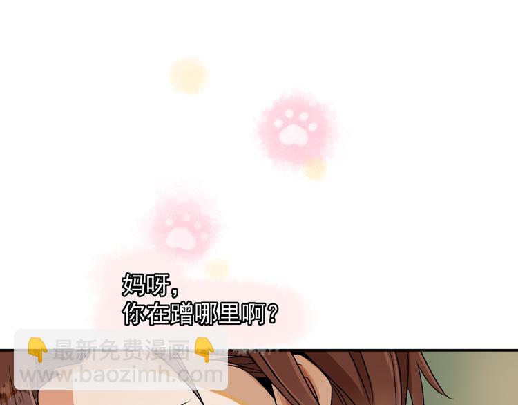 《上仙，缺猫否？》被猫碰瓷了 第30页