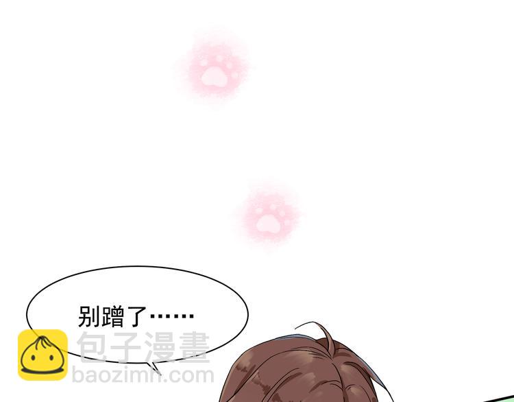 《上仙，缺猫否？》被猫碰瓷了 第33页