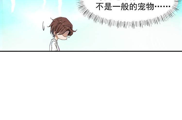 《上仙，缺猫否？》被猫碰瓷了 第41页