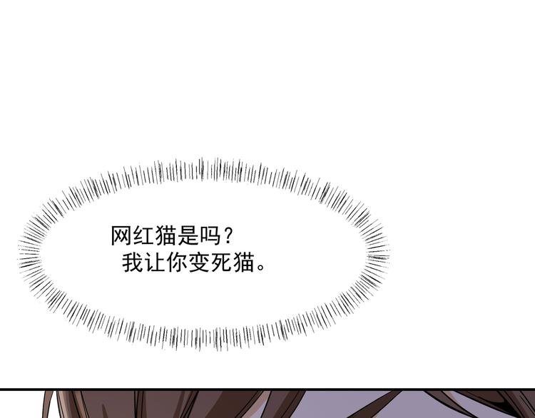 《上仙，缺猫否？》网红猫 第24页