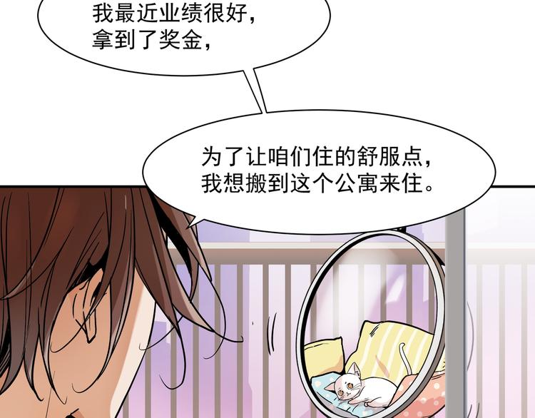 《上仙，缺猫否？》网红猫 第34页