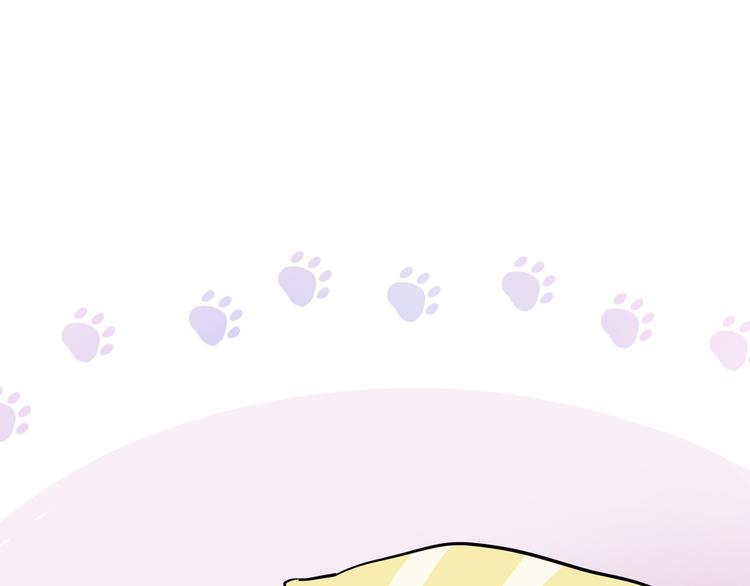 《上仙，缺猫否？》网红猫 第36页
