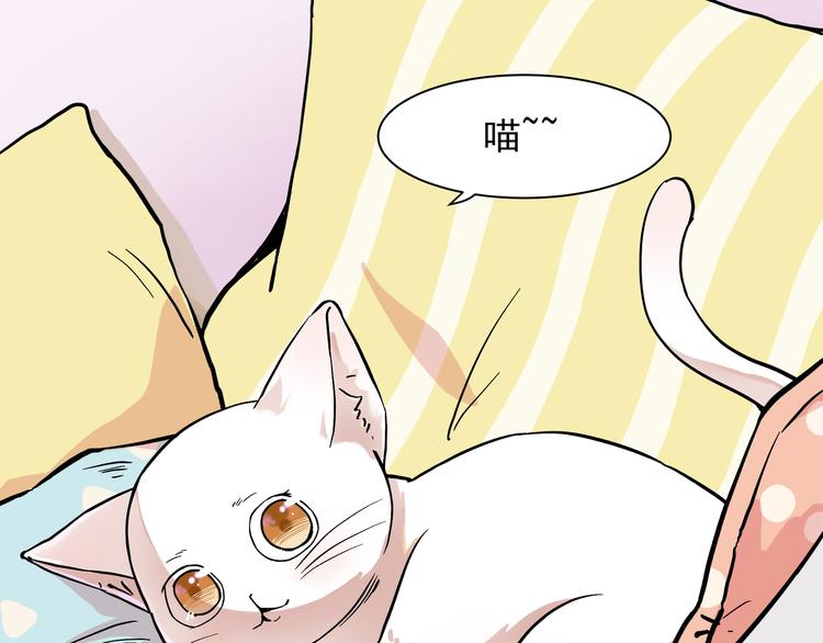 《上仙，缺猫否？》网红猫 第37页