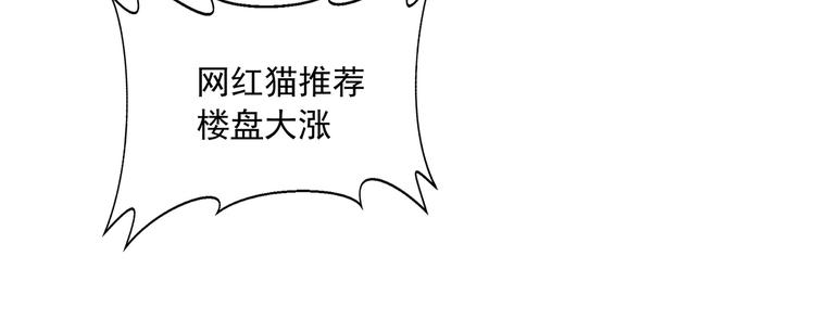 《上仙，缺猫否？》网红猫 第8页