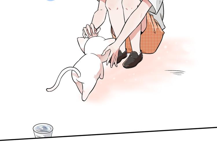 《上仙，缺猫否？》竟然开单了 第26页