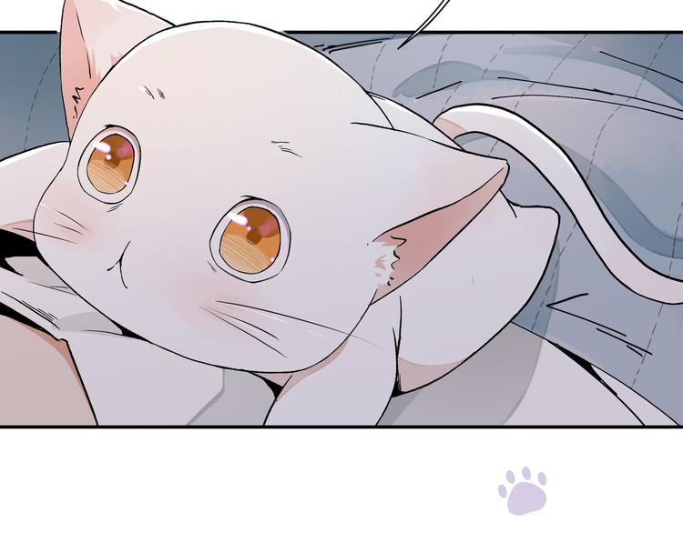 《上仙，缺猫否？》变不回来了 第28页