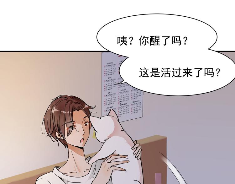 《上仙，缺猫否？》变不回来了 第30页