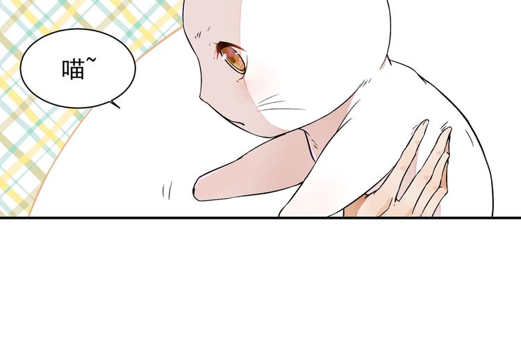 《上仙，缺猫否？》变不回来了 第32页