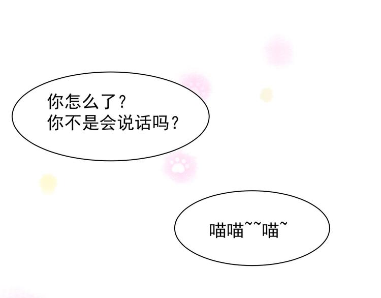 《上仙，缺猫否？》变不回来了 第33页