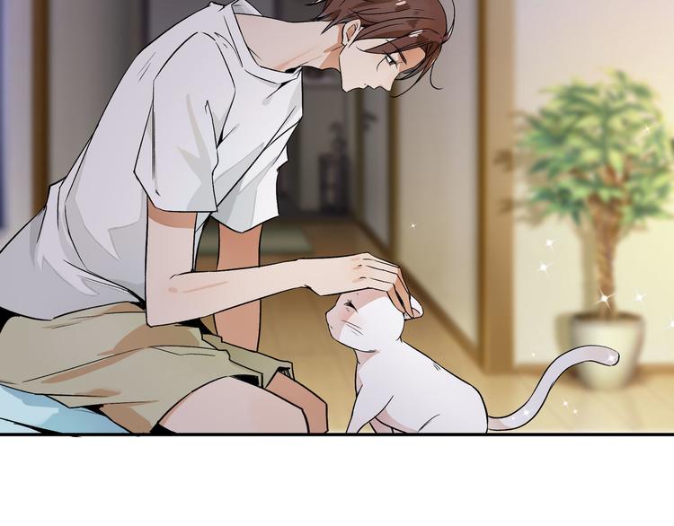 《上仙，缺猫否？》变不回来了 第40页