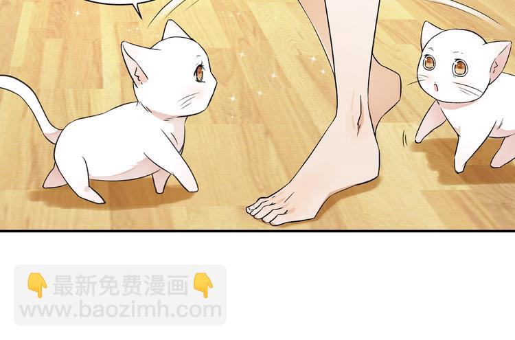 《上仙，缺猫否？》变不回来了 第44页
