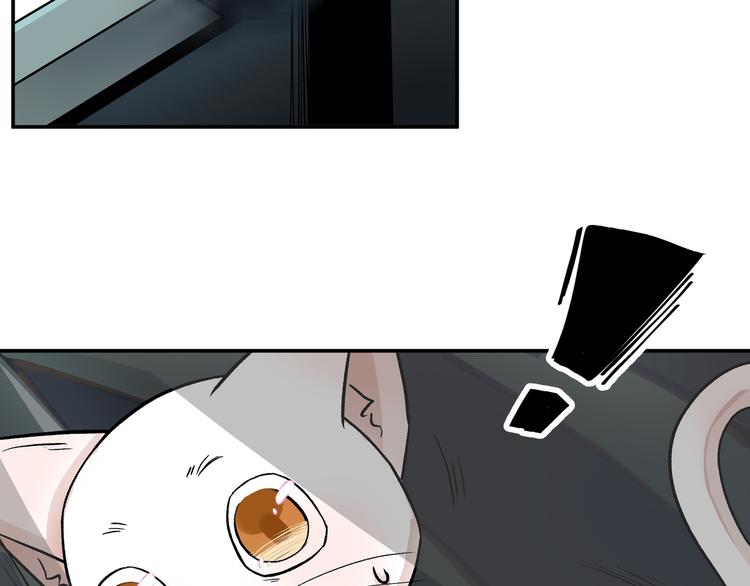 《上仙，缺猫否？》谋害一只猫 第28页