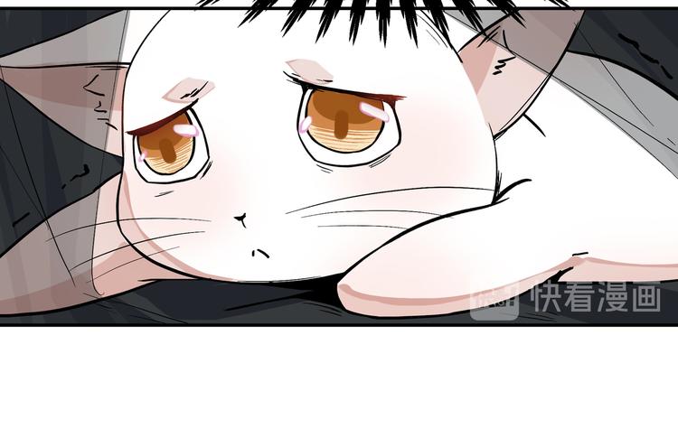 《上仙，缺猫否？》谋害一只猫 第35页