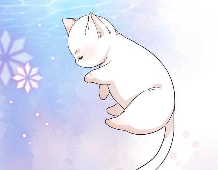 《上仙，缺猫否？》前世今生 第43页