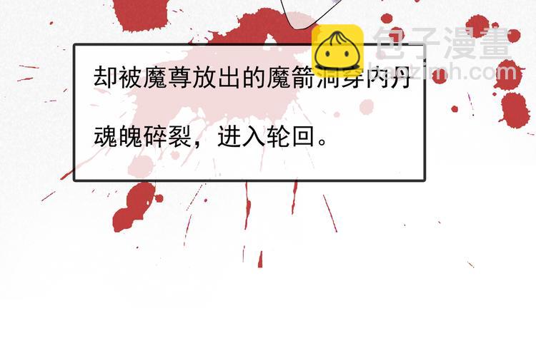 《上仙，缺猫否？》前世今生 第47页