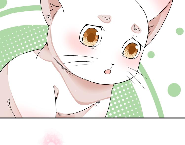 《上仙，缺猫否？》魂魄碎片 第13页