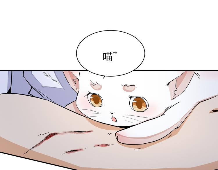 《上仙，缺猫否？》魂魄碎片 第30页