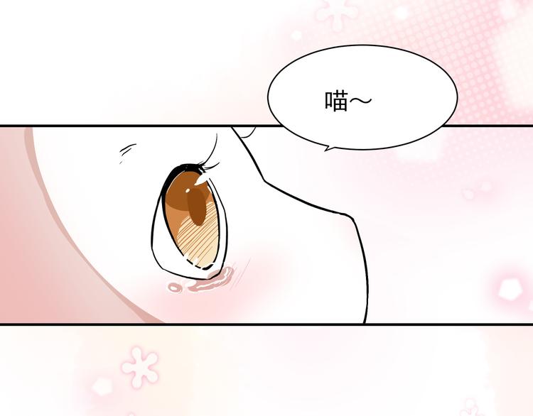 《上仙，缺猫否？》魂魄碎片 第45页
