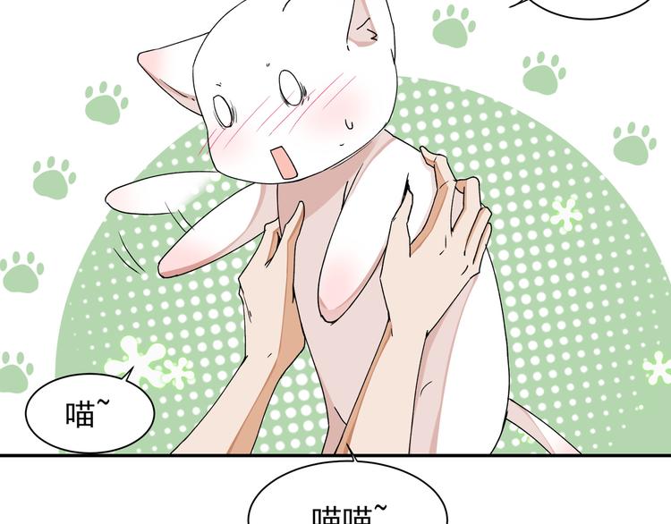 《上仙，缺猫否？》山雨欲来风满楼 第31页