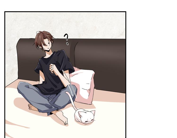 《上仙，缺猫否？》山雨欲来风满楼 第33页