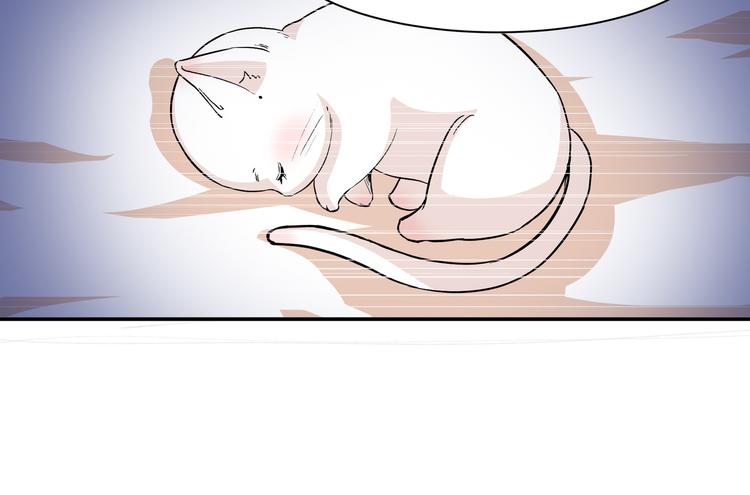 《上仙，缺猫否？》被盯上了 第17页