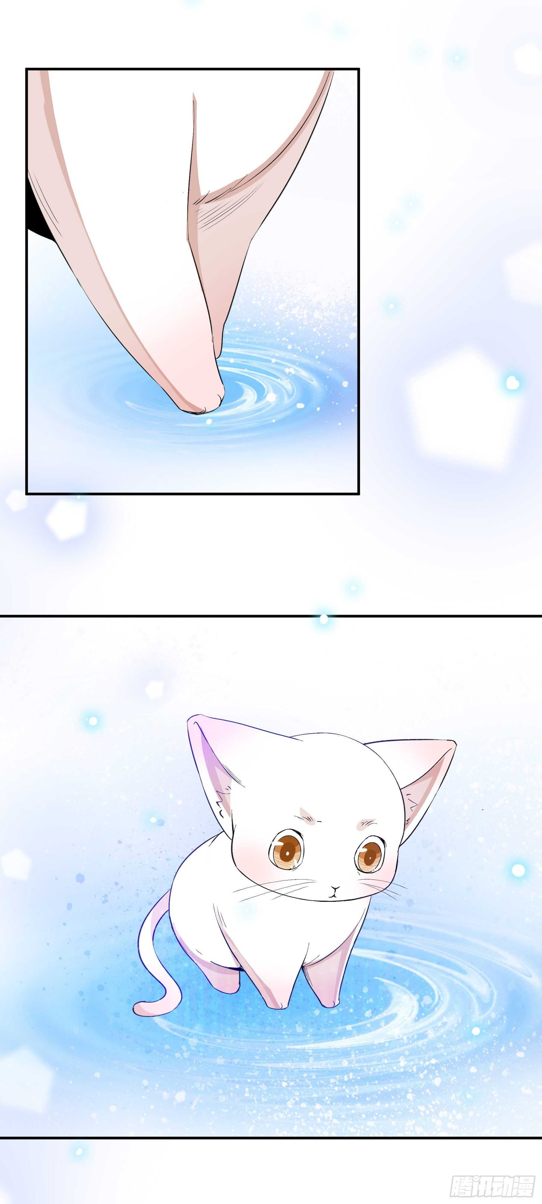 《上仙，缺猫否？》喜欢我好吗？ 第4页