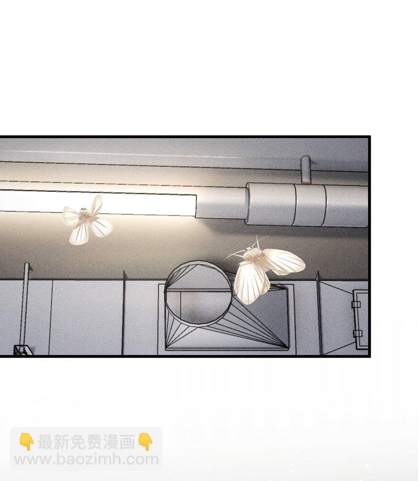 《废土与安息》002 变异怪兽入侵 第2页