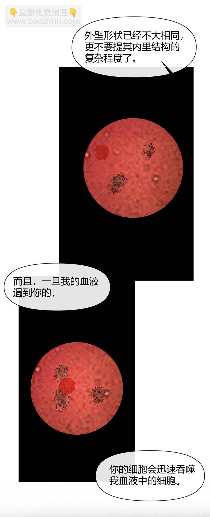 《废土与安息》030 我的爱人 第7页