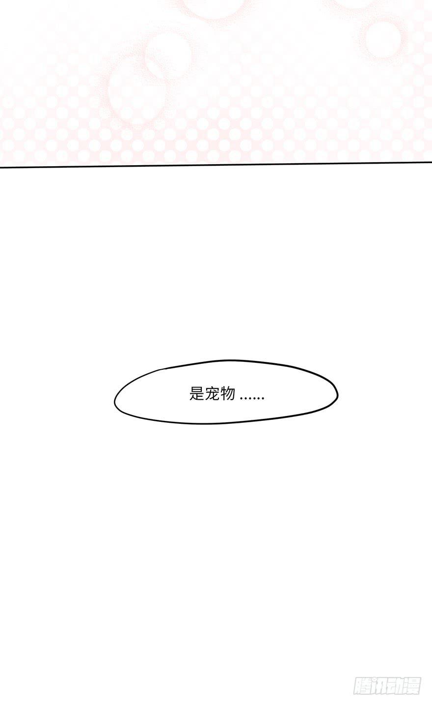 《美少年的饲养法则》是宠物！ 第48页