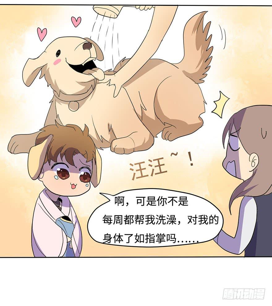 《美少年的饲养法则》穿衣服什么的最麻烦了 第29页