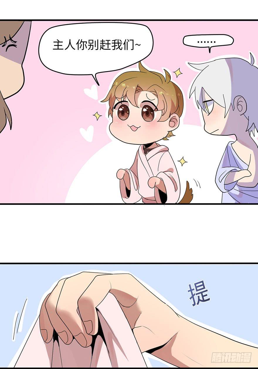 《美少年的饲养法则》穿衣服什么的最麻烦了 第6页