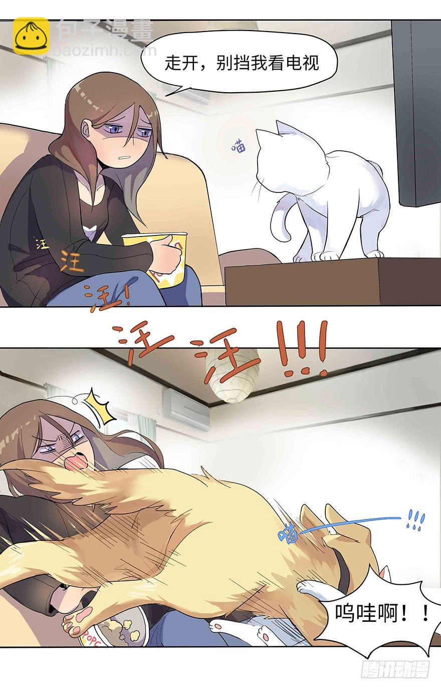 《美少年的饲养法则》活到现在全靠命硬 第32页