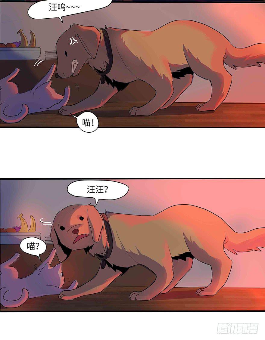 《美少年的饲养法则》活到现在全靠命硬 第39页