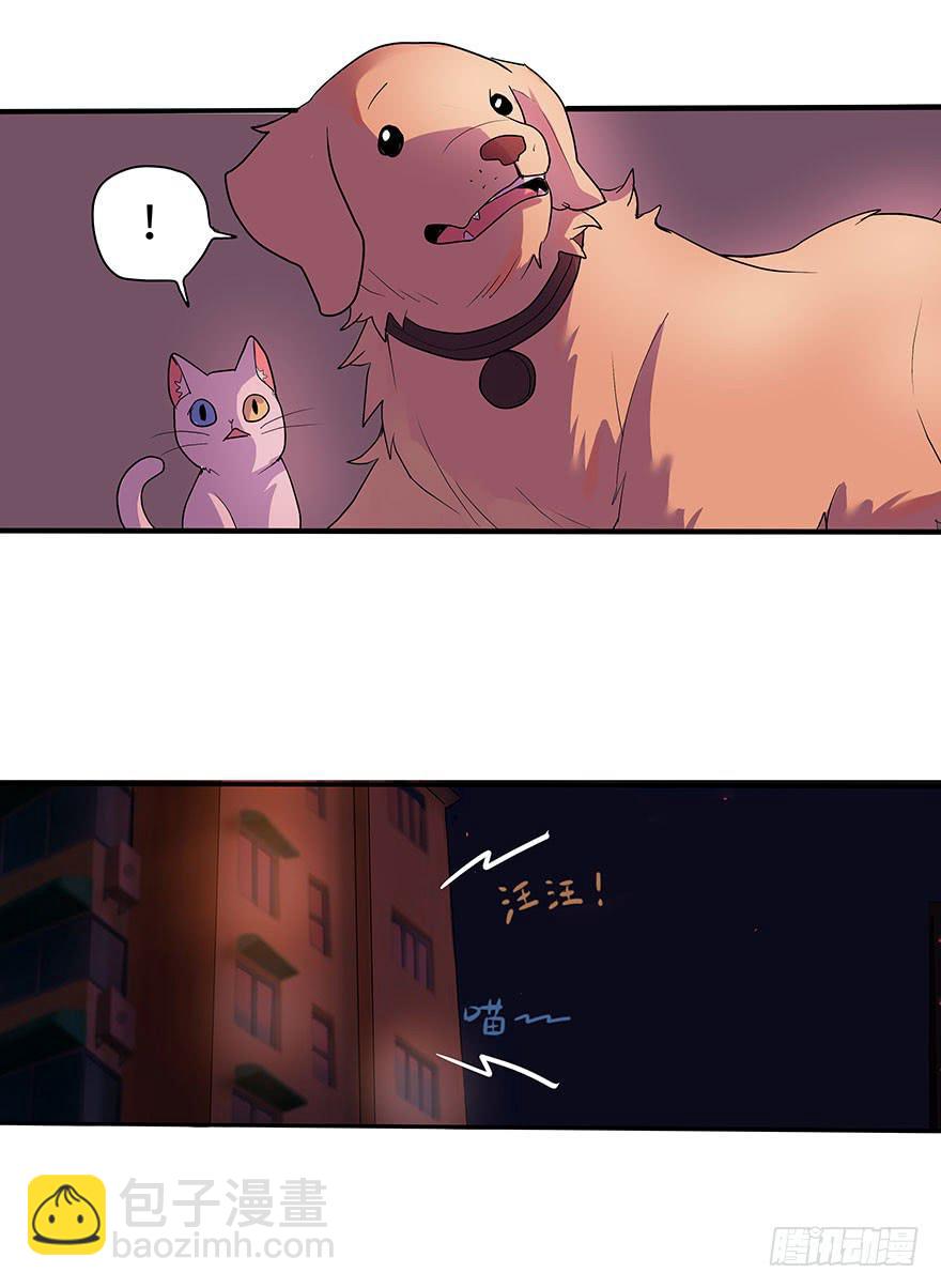 《美少年的饲养法则》活到现在全靠命硬 第43页
