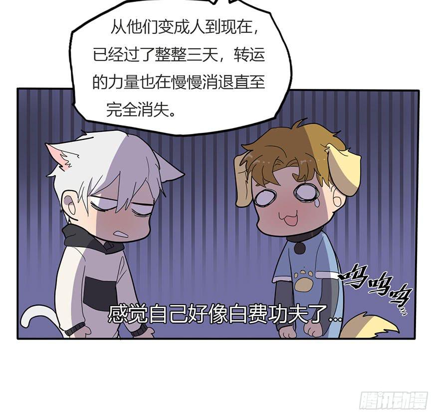《美少年的饲养法则》新组长来报道！ 第3页