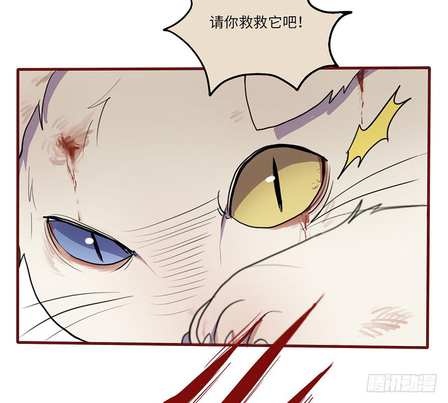 《美少年的饲养法则》我来过这里？ 第39页