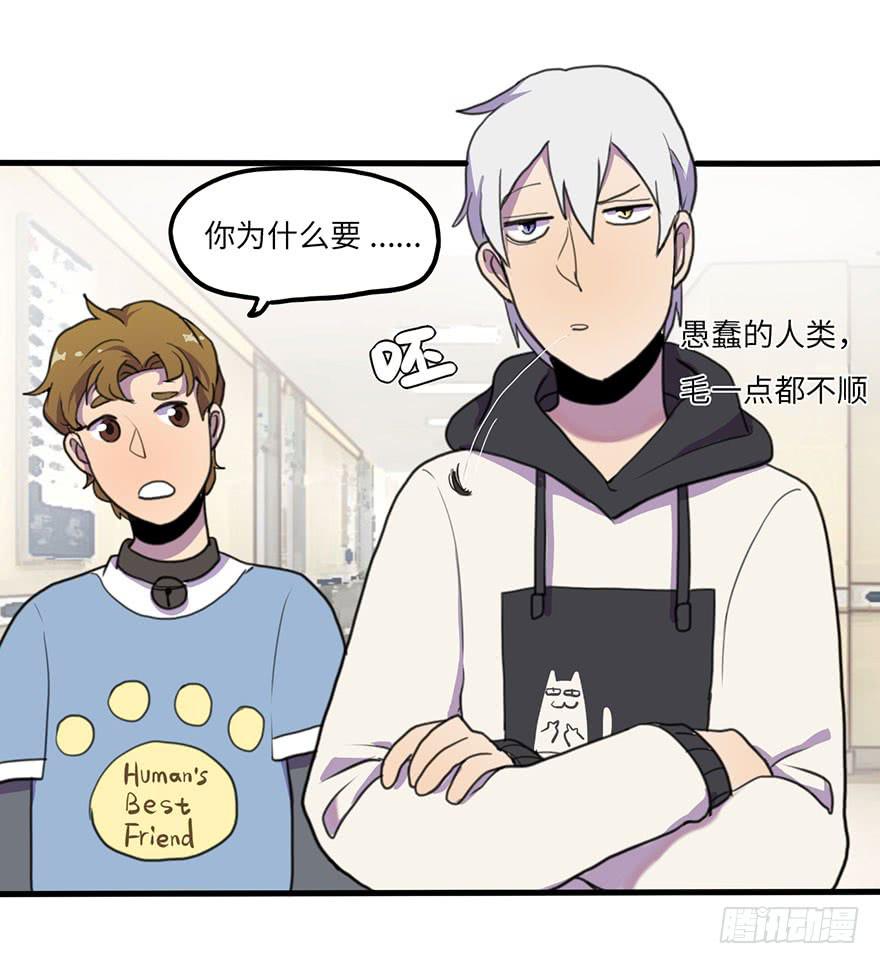 《美少年的饲养法则》把你的手拿开！ 第15页