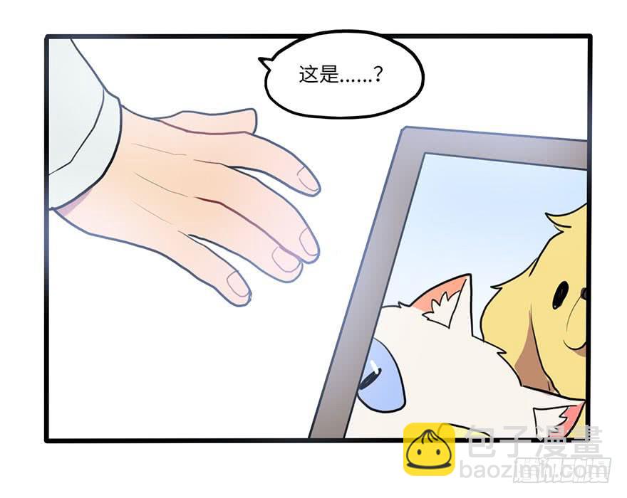 《美少年的饲养法则》复杂关系 第29页