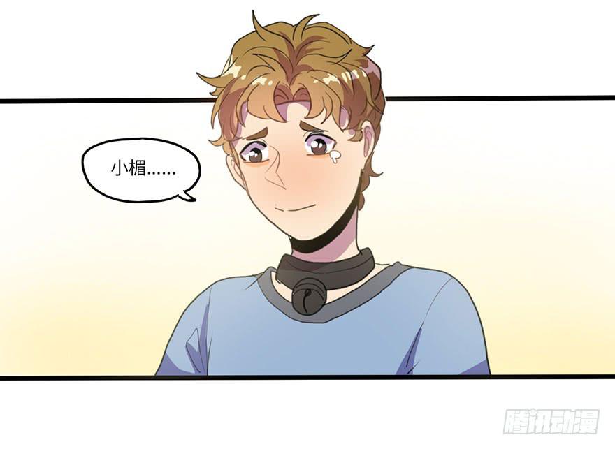 《美少年的饲养法则》吐槽大会 第31页