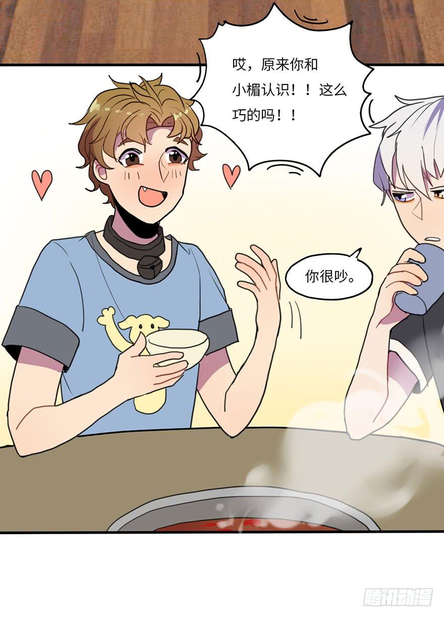 《美少年的饲养法则》还手机 第4页