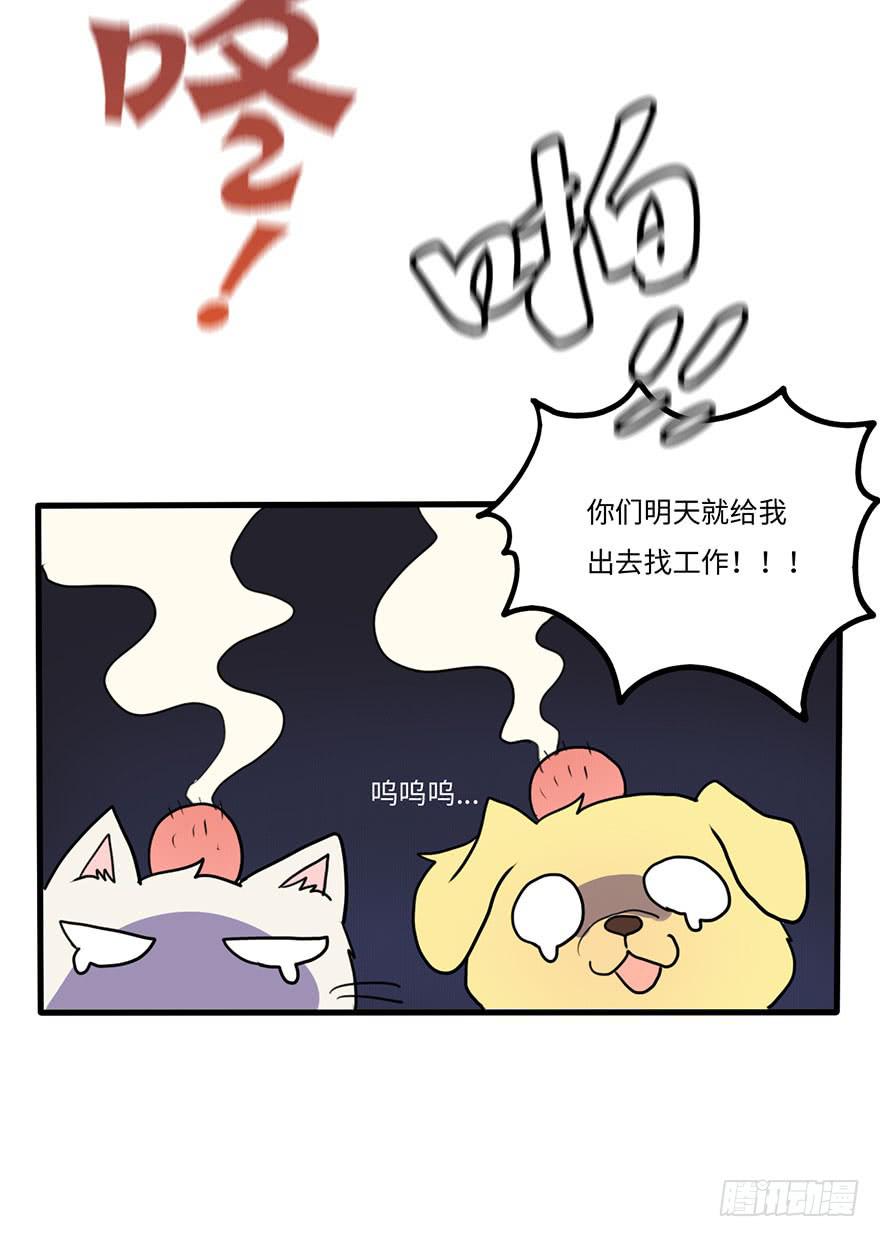 《美少年的饲养法则》突如其来的关心 第17页